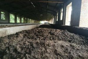 Why does the temperature affect the composting and fermentation of livestock manure in the organic fertilizer production line